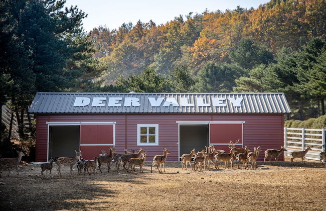 Kensington Resort Seorak Valley - Photo 56