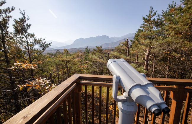 Kensington Resort Seorak Valley - Photo 55