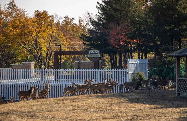 Kensington Resort Seorak Valley - Photo 45