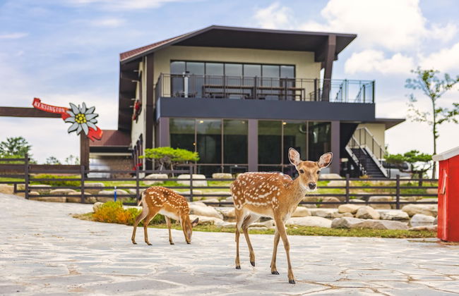 Kensington Resort Seorak Valley - Photo 63