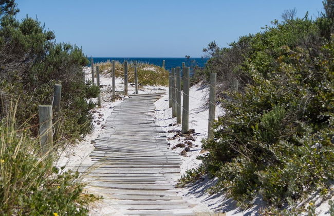 Fin Whale Beach House - Foto 28