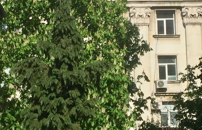 Apartments next to Opera - Foto 21