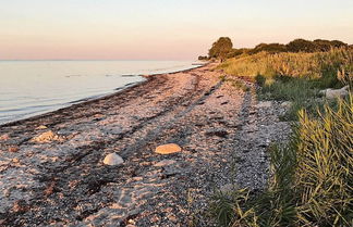 Foto 2 - Appealing Holiday Home in Nordborg near Sea