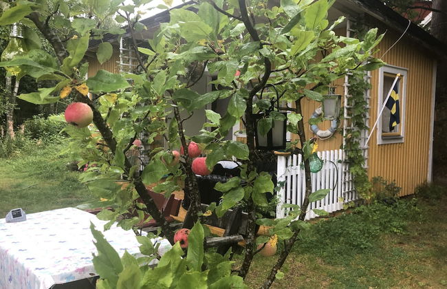 Apple Tree Cabin With River Views - Foto 31