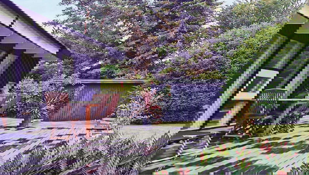 Image principale