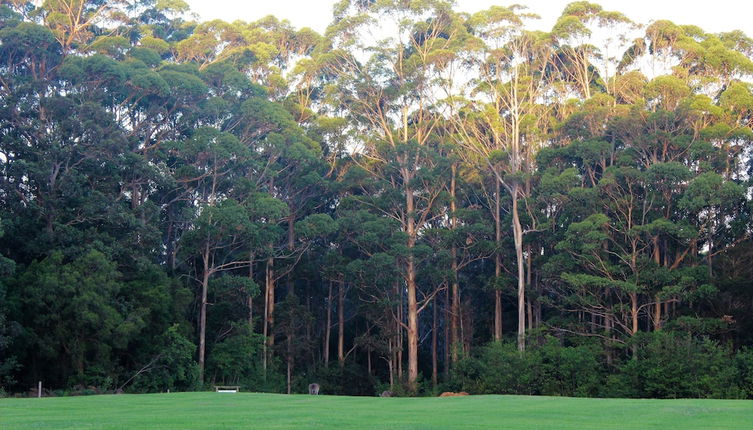 Photo 1 - Tinglewood Cabins