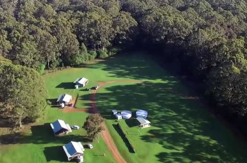 Photo 19 - Tinglewood Cabins