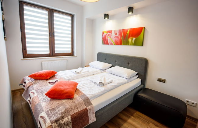 Apartamenty Sun & Snow Zielony Zdrój - Foto 40