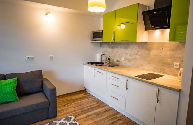 Apartamenty Sun & Snow Zielony Zdrój - Foto 47