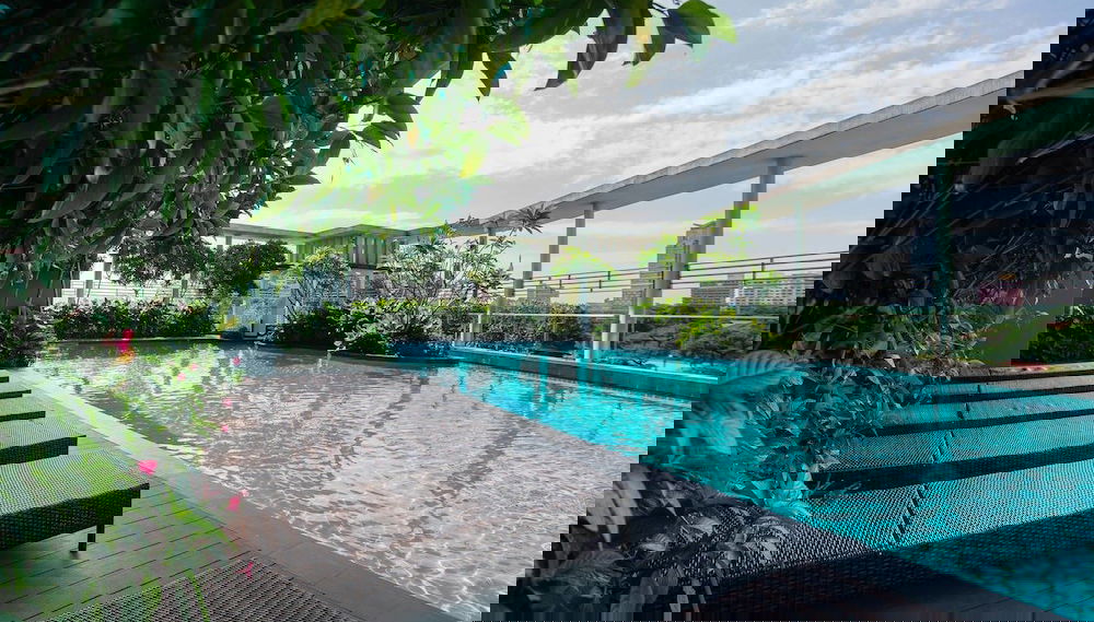 Primary image