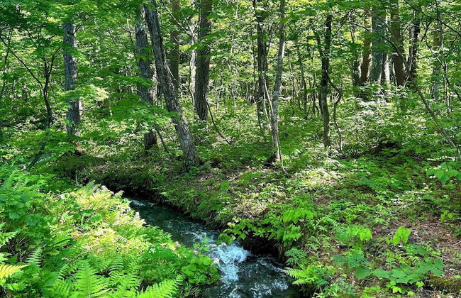 Creek House Hakuba - Photo 30