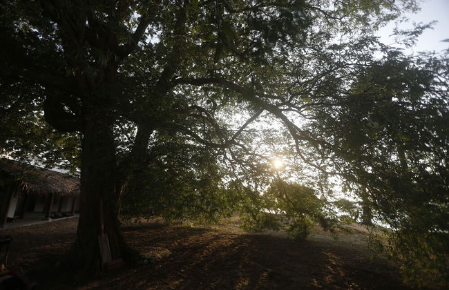 The Villa Kalpitiya - Photo 16