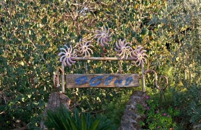 Siesta - Foto 27