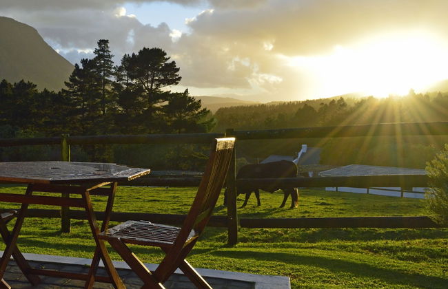 High Season Farm - Foto 4