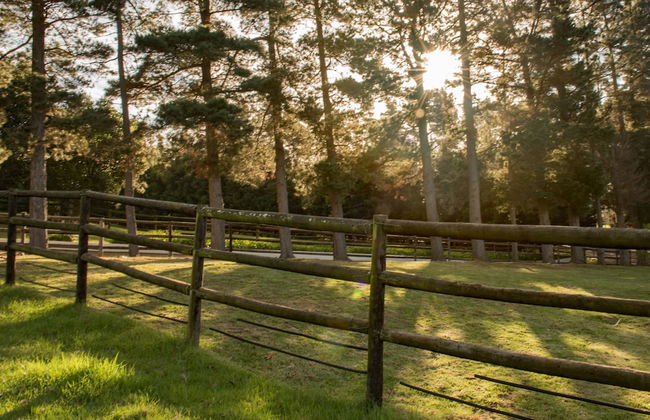 High Season Farm - Foto 6