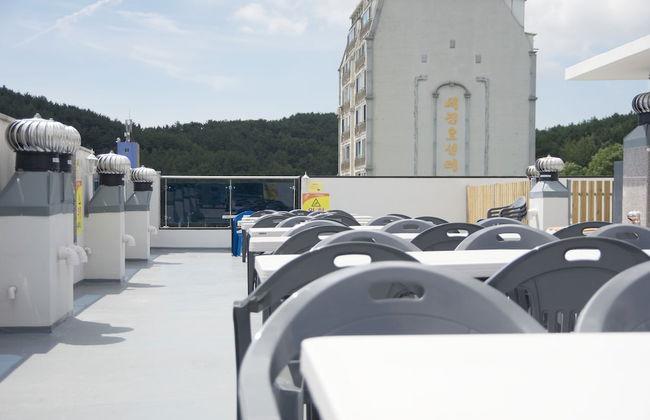 Terrace - Photo 16