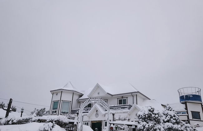 Jungfrau Pension - Photo 44