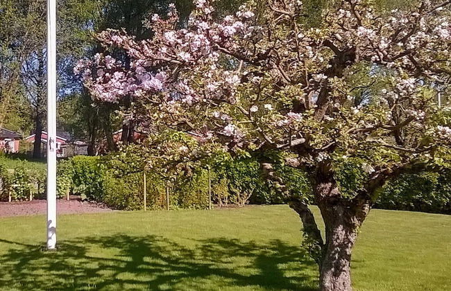 Holiday Home in Lerum - Foto 29