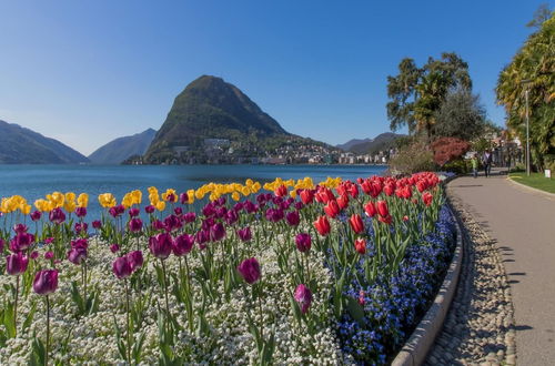 Photo 28 - Rebecca Garden in Lugano