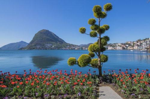 Photo 24 - Rebecca Garden in Lugano