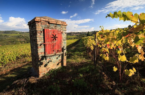 Foto 65 - Casa Citille in Greve in Chianti