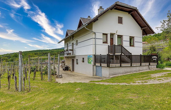 Vineyard Homestead Vrtin - Foto 1