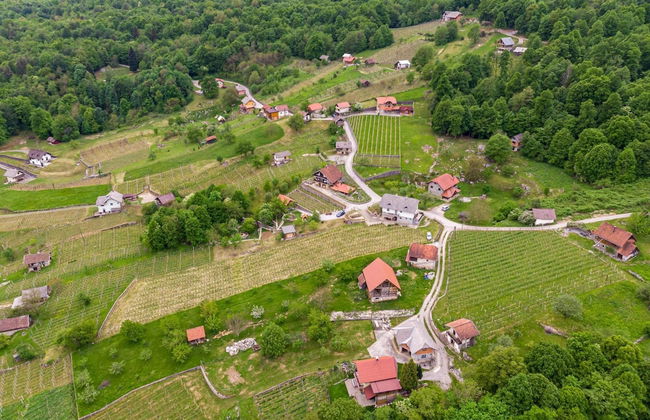 Vineyard Homestead Vrtin - Foto 12