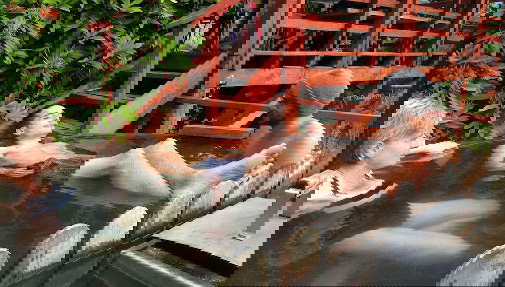 Image principale