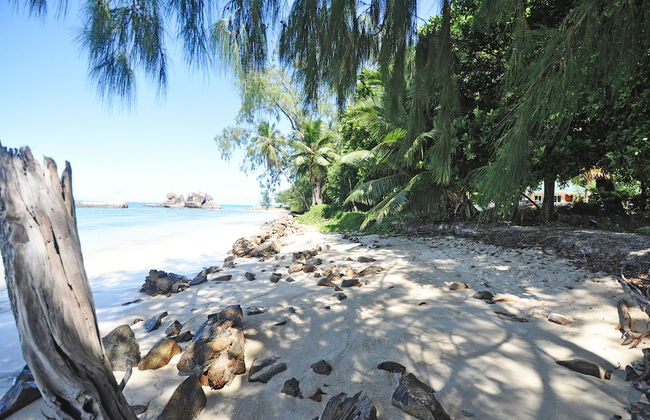 YASAD Luxury Beach Residence - Foto 76