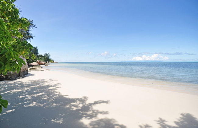 YASAD Luxury Beach Residence - Foto 77