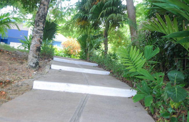 Tranquility Cove - Photo 32