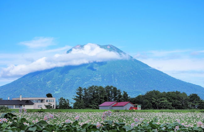 Niseko Highland Cottages - Photo 80
