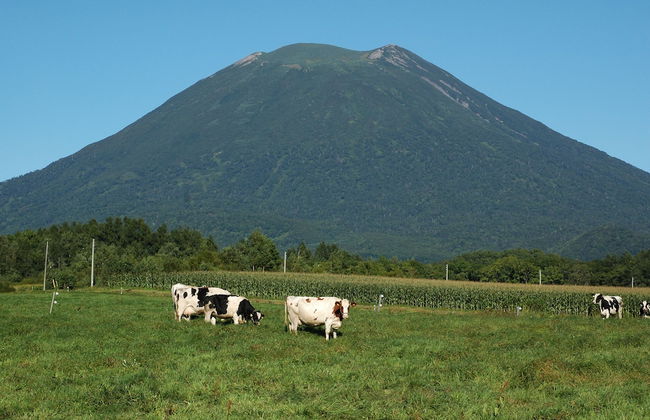 Niseko Highland Cottages - Photo 52