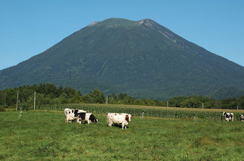 Foto 52 - Niseko Highland Cottages