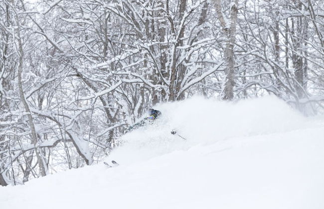 Niseko Highland Cottages - Photo 62