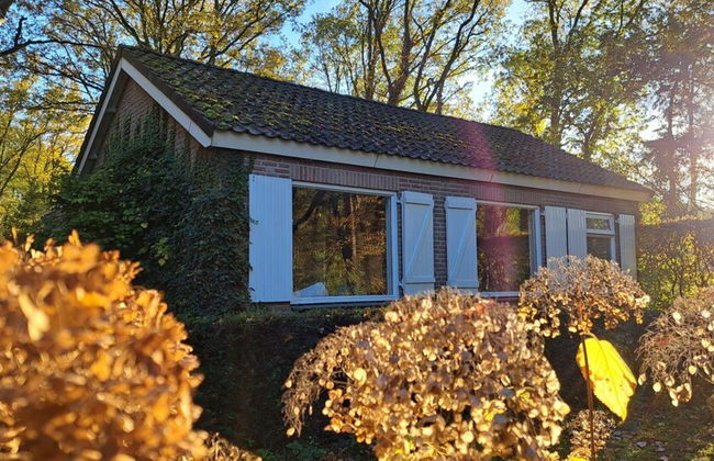 Villa in Vessem Near Eindhoven - Foto 23