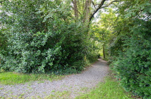 Photo 19 - Ballyroan - Peaceful Dog Friendly Cottage