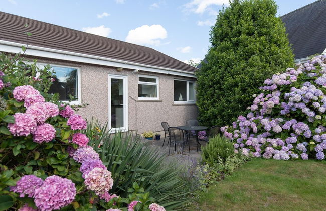 Ballyroan - Peaceful Dog Friendly Cottage - Foto 17