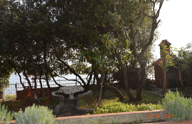 Welcome to Apartmen Palatisa - Photo 23