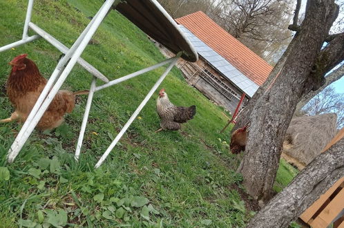 Photo 53 - Room in Guest Room - Cozy Rural Retreat in Roşia Montana