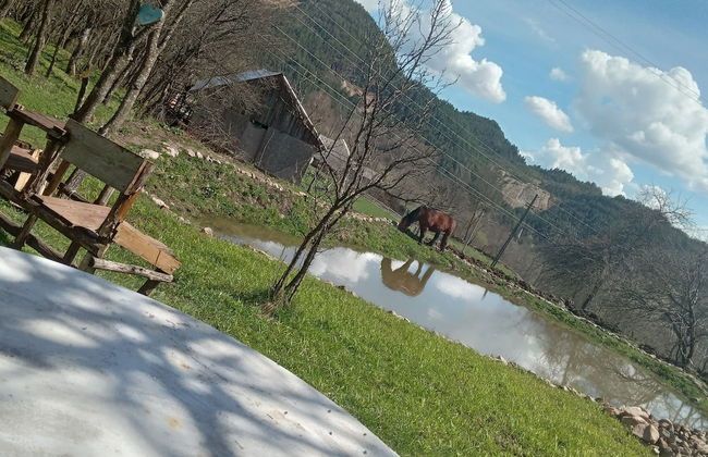 Room in Guest Room - Cozy Rural Retreat in Roşia Montana - Foto 22