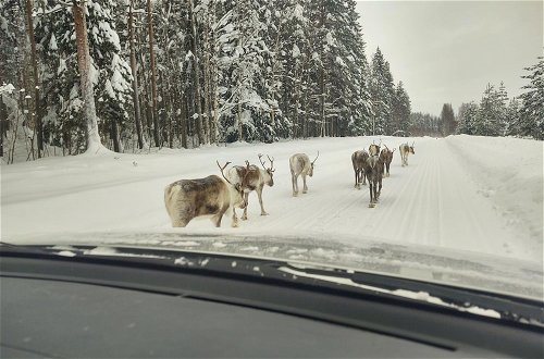Photo 22 - Lagomhuset - A Peaceful Holiday In Swedish Lapland