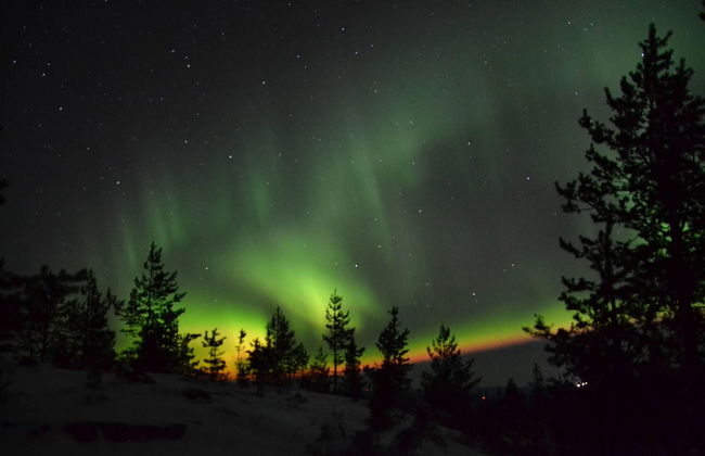 Lagomhuset - A Peaceful Holiday In Swedish Lapland - Photo 19
