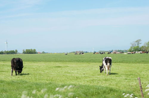 Photo 23 - Charming House in Easterlittens on a Frisian Farm