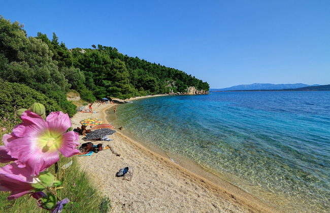 Split Region, Town of Makarska, Nature Park Biokovo With Sky Walk, Pets Allowed - Foto 22