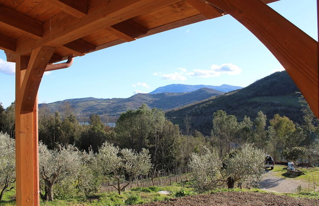 Ecolodge Selvitelle - Sustainable Retreat Amidst Olive Groves in Cilento - Foto 24