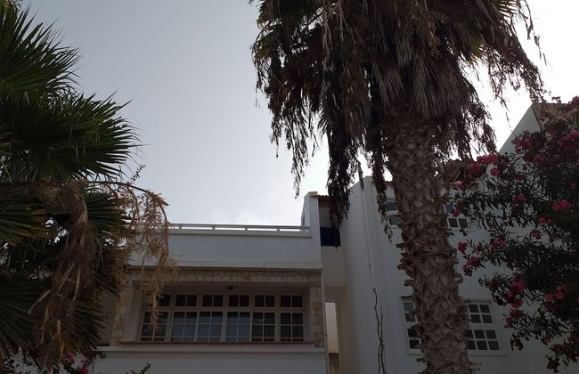 TERRAMAR - Foto 33