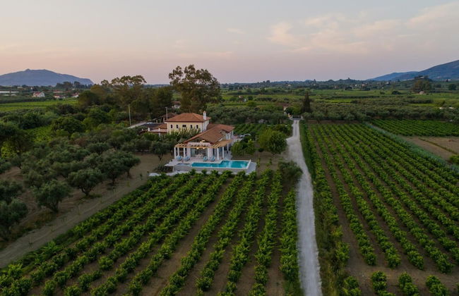 Aneli Villas - Villa Elissavet - Photo 6