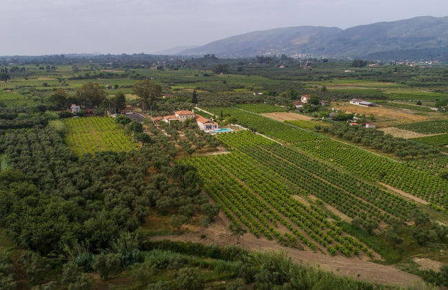 Aneli Villas - Villa Elissavet - Photo 7