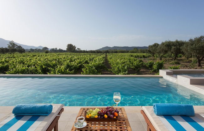 Aneli Villas - Villa Elissavet - Photo 8